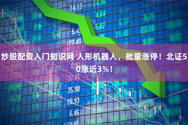 炒股配资入门知识网 人形机器人，批量涨停！北证50涨近3%！